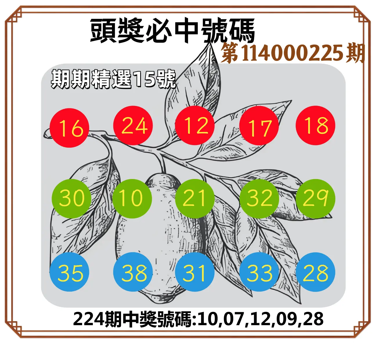 今彩539第114000225期(09/16)頭獎號碼