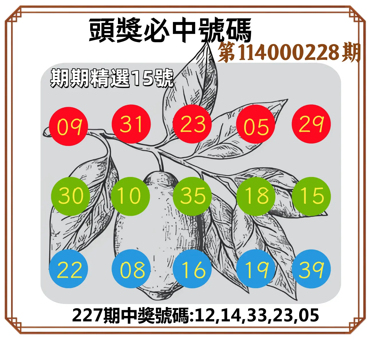 今彩539第114000228期(09/19)頭獎號碼