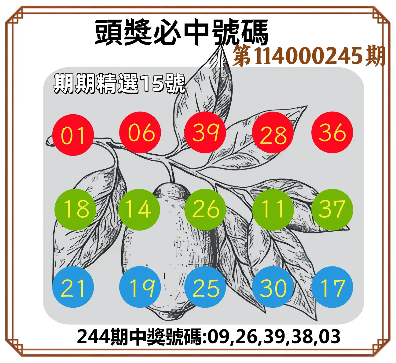 今彩539第114000245期(10/09)頭獎號碼