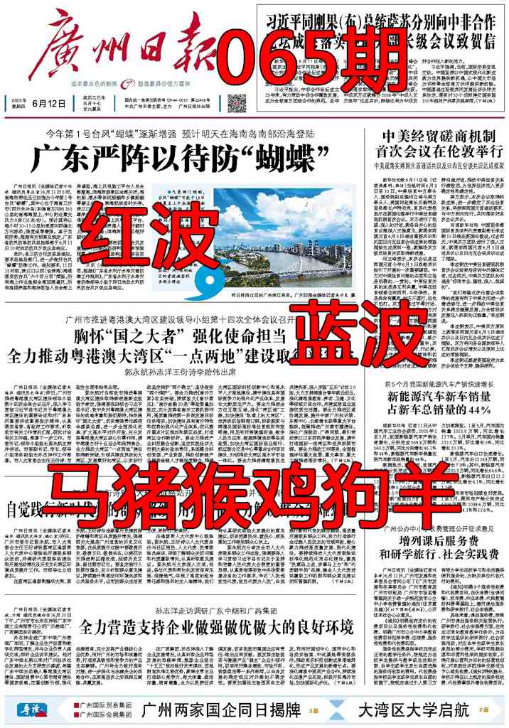六合彩065期广州日报