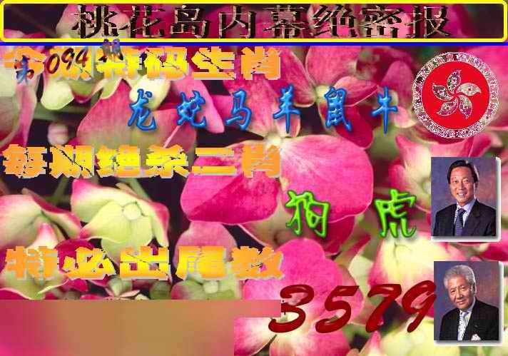 六合彩094期桃花岛内幕报